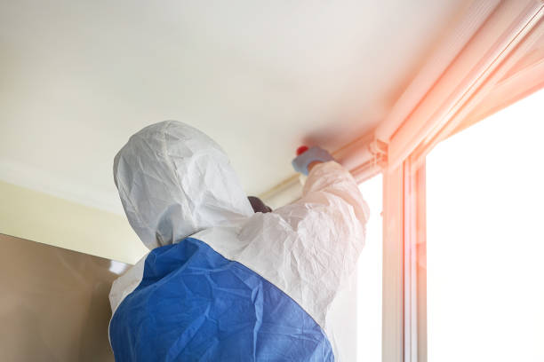 Best Environmental Consulting for Mold Prevention  in Red Lake, AZ